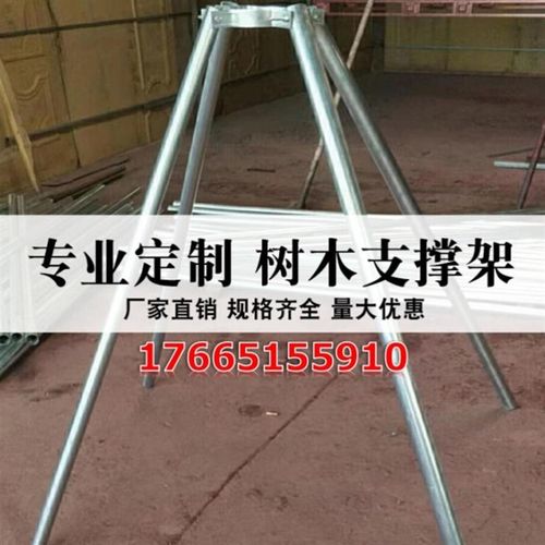 支护防风绿化大树树木固定器防倒扶杆树木固定支撑架园林镀锌钢管