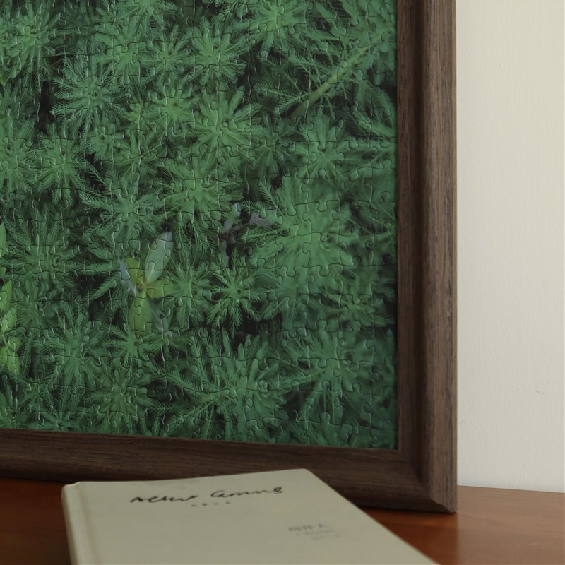 青松Art《实木拼图相框》画框挂墙1000片专用送胶水70x50