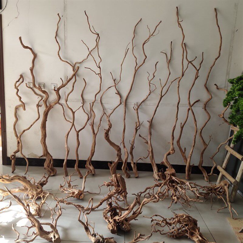 杜鹃根树枝树根鱼缸造景沉木树热带雨林花艺装饰干支枯枝装饰木头