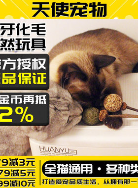 猫咪玩具KOTA蔻塔自然鲜木天蓼逗猫玩具洁牙棒猫薄荷 趣味猫玩具
