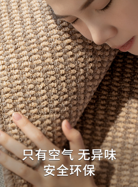 仿剑麻地毯客厅2024新款卧室床边复古风摄影棚拍照地垫大面积全铺