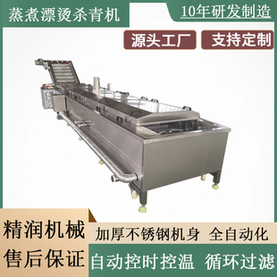 大型肉丸蒸煮漂烫机鱿鱼仔解冻预煮机牛肉丸蒸煮加工流水线厂家