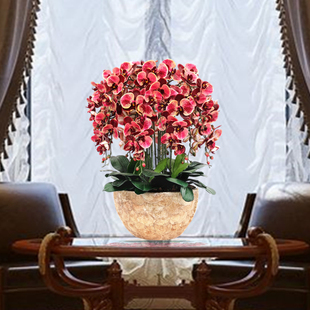 和家蝴蝶兰仿真花套装塑料花艺绢花假花盆栽客厅装饰餐桌干花花束