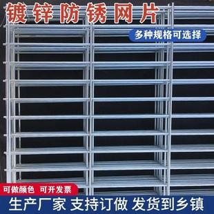 长方孔镀锌网片小孔鸟笼专用网格片铁丝网养殖围栏隔离网加粗家用