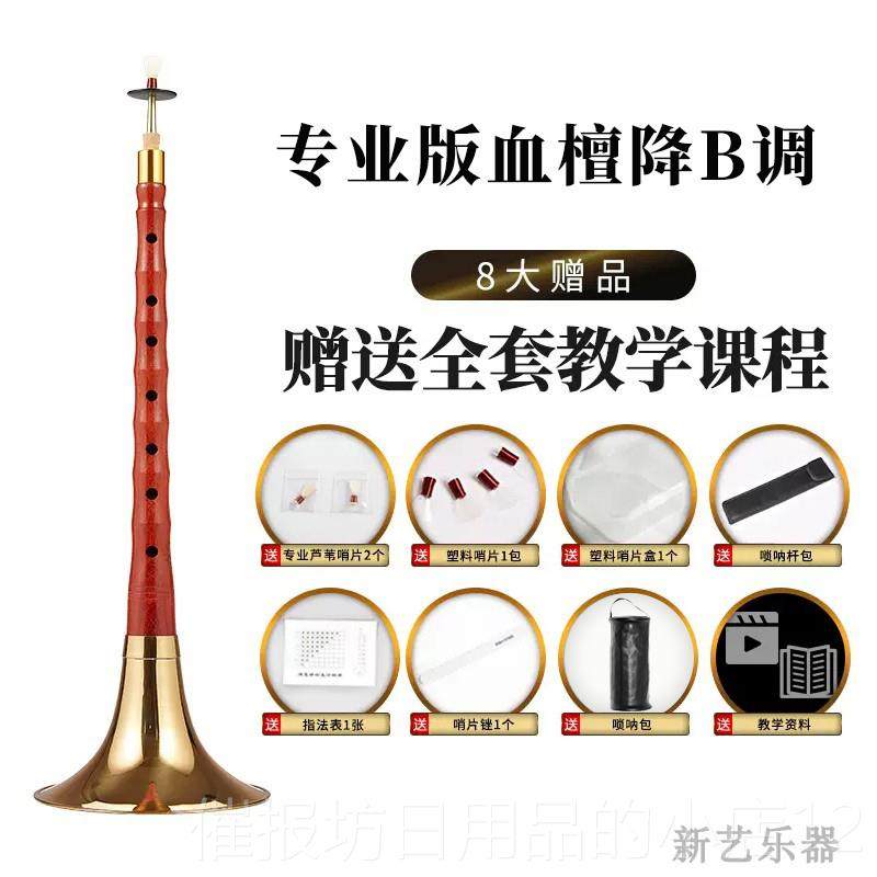 正品新艺 唢呐乐器全套初成学者人 专业型奏血檀木唢呐D调 民间喇