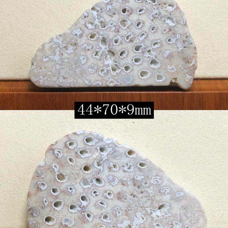 正品印尼原花矿天然珊瑚玉原石矿料摆品件菊石手把玉件装饰饰片料