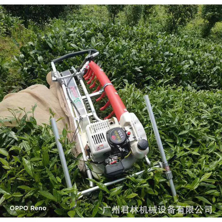 川崎SV100双人采茶机平形弧形汽油机茶园茶叶修剪收集切割修剪机