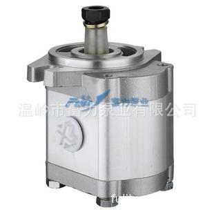 农机泵 F316L 福田 厂家直销 齿轮泵 FT700.58B.020