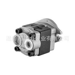 台励福 000W 叉车 农机泵 液压泵 FCBN02 齿轮泵 021A