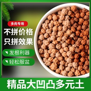 多元土多肉专用铺面拌土种植颗粒凹凸活力土橘红色营养土透气生根