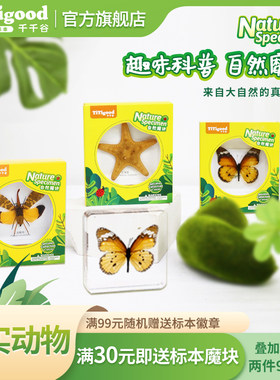 千千谷蝴蝶海洋树脂昆虫标本自然魔块真实动物儿童科普启蒙小玩具