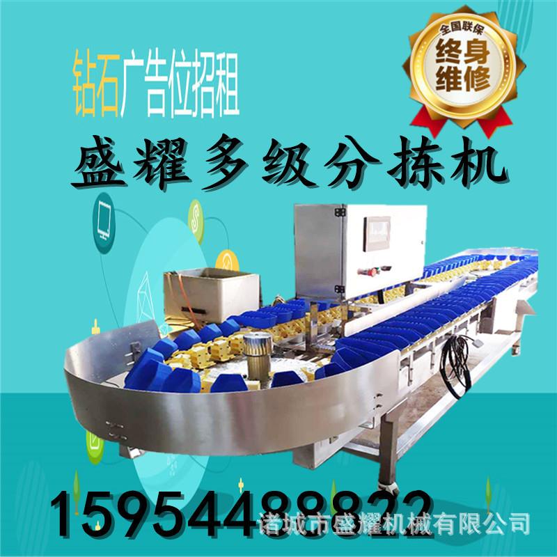 全自动重量分拣机 海鲜在线称重分别机 多级自动称重机 全国包邮