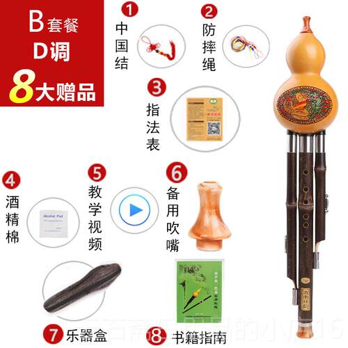 高档竹葫芦紫丝乐器芦初学c调降b调入门儿童初学成者学生人乐器胡