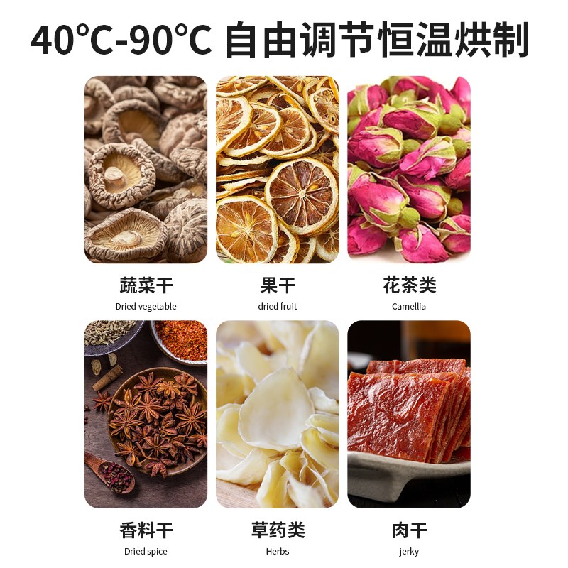 赛普龙果蔬烘干机食品家用小大型宠物零食鸡胸肉风干机食物干果机