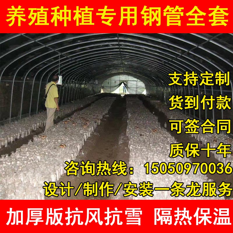 养殖大棚钢管骨架全牛棚羊圈猪舍养鸡场专用温室种植椭圆管定制