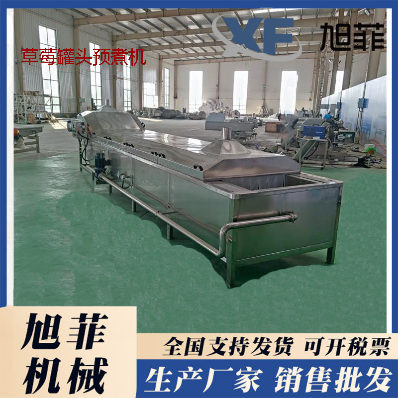 蜜黄桃漂烫预煮机桃子罐头漂烫杀菌设备
