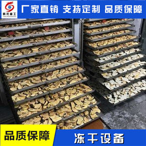 草莓冻干机柠檬冻干机芒果厂家金花茶冻干机方仓