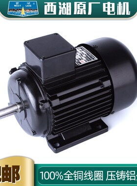杭州西湖台钻原厂电机YS7114 7124 7134 8024T 6312 YC7112马迪牌