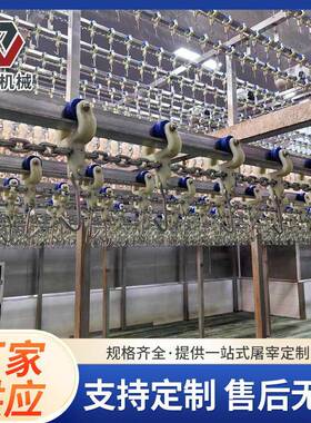 杀鸡杀淘汰蛋鸡预冷设备脱毛机鸡屠宰专用时宰1000只肉鸡生产线