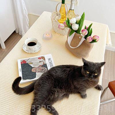 高档M.lie 轻式法奶油色 蕾丝桌布茶几日高f级感圆桌布布餐桌布台