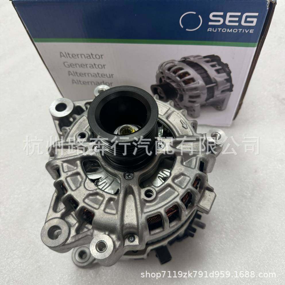 12318571358 0125815003 12318635553适用G12B58 G05 250AH发电机