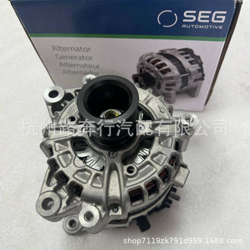 12318571358 0125815003 12318635553适用G12B58 G05 250AH发电机