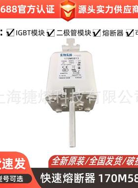 170M5813 170M5959 快速熔断器 保险丝 电子元器件 量大价优