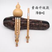 高档云韵紫个竹调两调组合专业演奏考级音型云录南葫芦丝双乐器