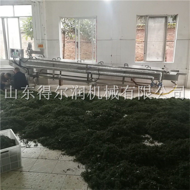 定做型加工 江津青花椒清洗杀青流水线 真空冷藏鲜花椒保鲜设备