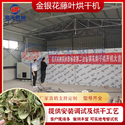 金银花叶烘干机 金银花藤忍冬藤烘干房 马鞭草艾草叶半枝莲风干房