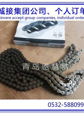 DBC东宝防锈滚子流水线链条80-1 100-2 120-3单片飞轮链条工业