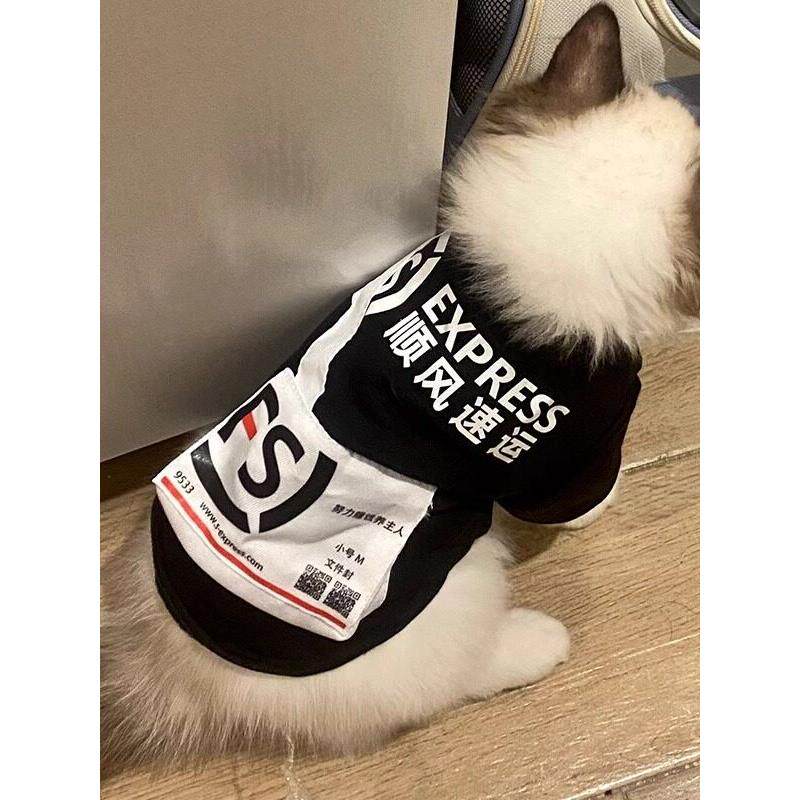 猫咪衣服揹包薄款英短布偶蓝猫银渐层幼猫宠物狗狗搞笑装