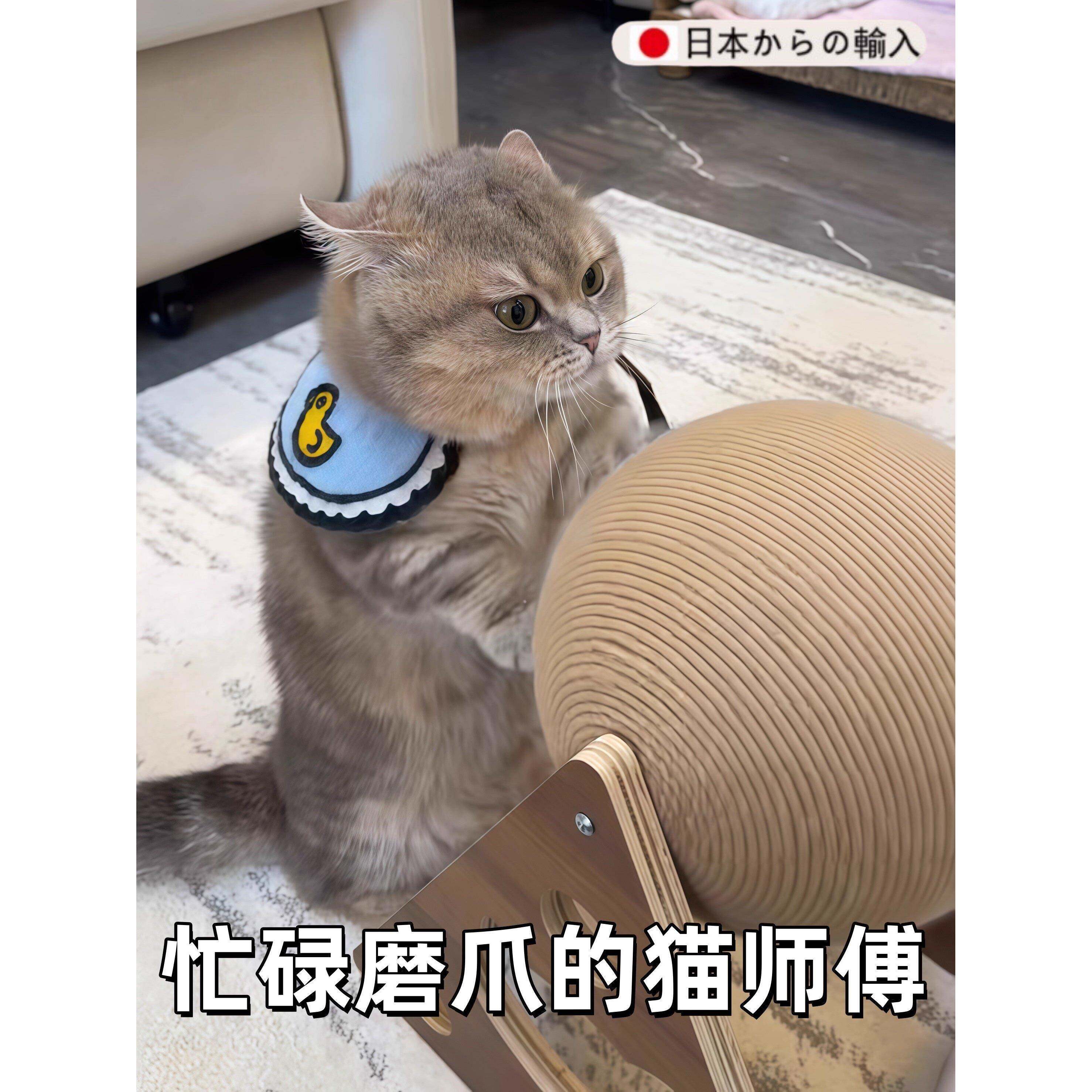日本立式滚轮猫抓球猫玩具木质猫咪自嗨解闷神器实心耐抓磨猫爪板