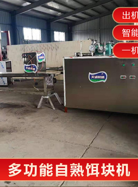 厂家直销多功能自熟饵块机商用仿手工二块粑机价格低