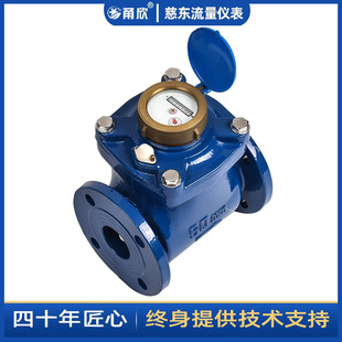 法兰机械水表 农业灌溉用水计量表 DN300铜罩款 水平可拆水表