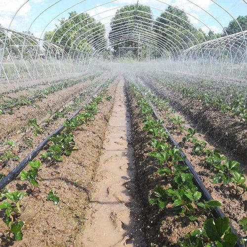 微喷带喷灌带滴灌带塑料软管水管喷水管农用灌溉水带