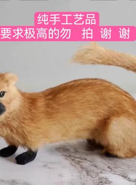 高档口黄家道真身黄皮子仿真黄鼠狼黄鼬橱窗摆设具手工绒兔毛毛摆