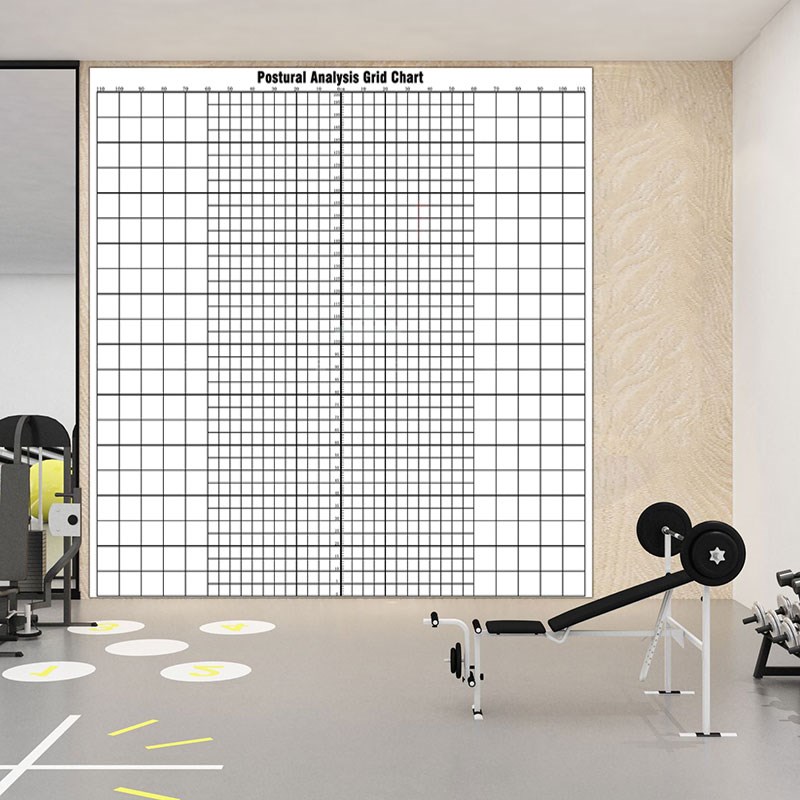 英文版体态评估表墙纸健身房体姿背景墙装饰画体测评估图格子壁纸