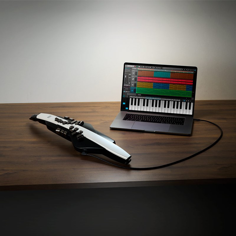 Rolnd罗兰E-20 E-30电吹管E20w电子萨克斯老年人初学E10升级