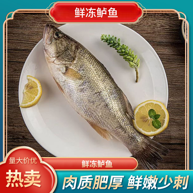 【5条】鲜冻海鲈鱼肉质肥厚鲜嫩少刺冷冻海鲜水产,水产肉类/新鲜蔬果/熟食,鲈鱼,淘宝优惠券,粉丝福利购,淘宝优惠卷