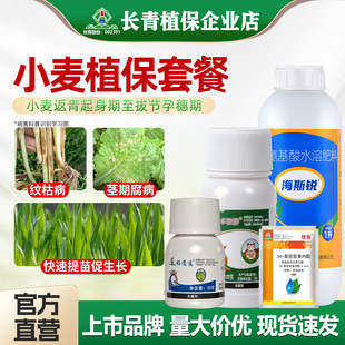 【小麦杀菌套餐】小麦纹枯病茎基腐病防治真菌病害提苗促生长农药