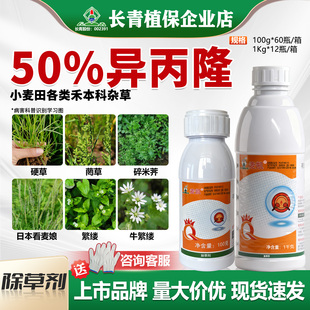 长青 麦凯50%异丙隆冬小麦田看麦娘早熟禾持效期长杂草除草剂农药