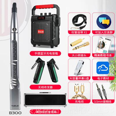 正品雅史莱奇2电吹学管B300por萨克斯笛子初成x人老年人00S葫芦丝