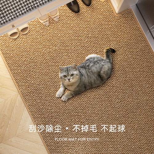入户门地垫2024新款仿剑麻地毯入户门垫高级感门口地垫进门可裁剪