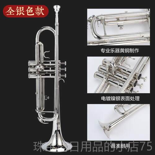 高档小号乐器降b调专号业演小奏三音初学者学乐生儿童鼓号队西洋