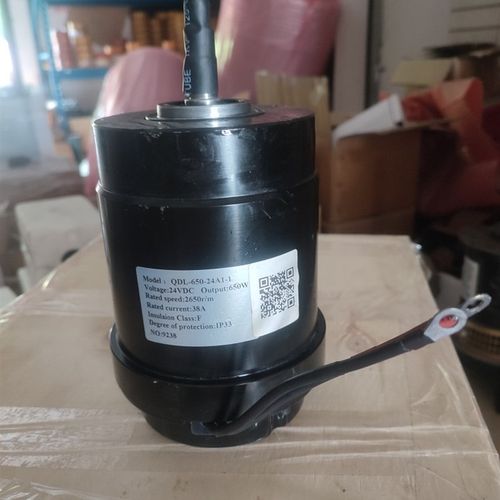 电动搬运车小金刚行走驱动直流原厂电机QDL-650-24A1-1 24V650W