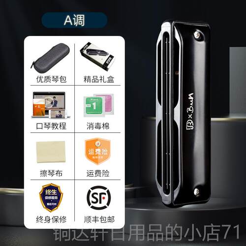 高档J孔DAR嘉德瑞ssassin刺客布斯鲁蓝调十孔口琴10C调专业演奏pa