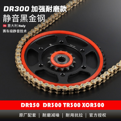 适用DR250 XCR300 TR300 DR300大小牙盘静音链轮征和UX油封链条