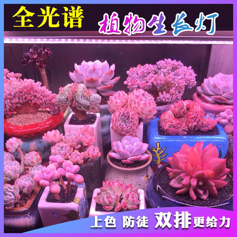 多肉补光灯兰花卉水草食虫植物生长灯家用上色全光谱仿太阳种植灯