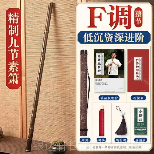 高档湛文兵专业演奏萧洞紫G高档F初学零基调础六八孔九节竹萧笛乐